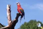 Tierpark Schmiding Tierpark Schmiding